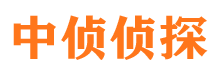 灯塔侦探公司